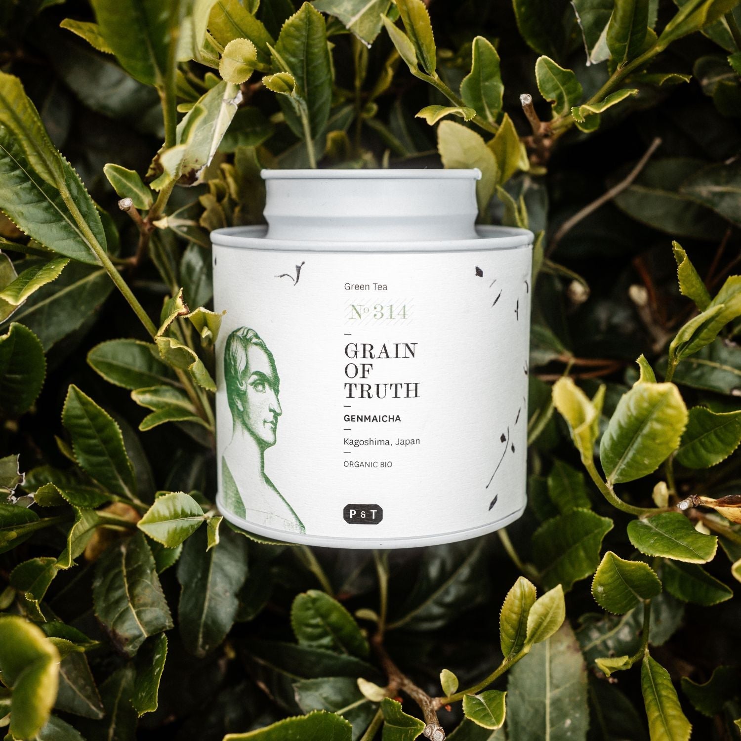 Weiße zylindrische Teedose mit grünem Portrait und Aufschrift 'Green Tea', umgeben von Teeblättern aus Kagoshima.