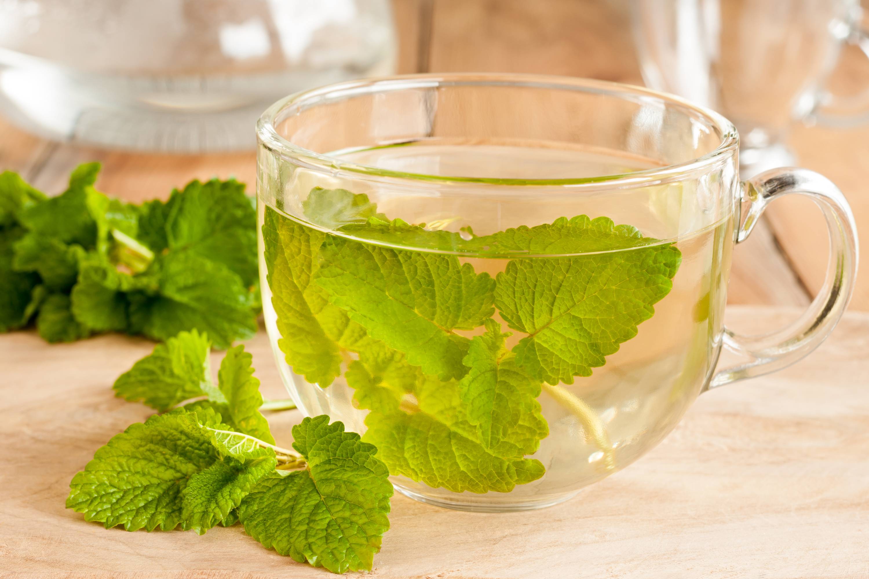 Glas mit grünen Melissenblättern in Wasser auf Holz, frische Zitronenmelisse daneben