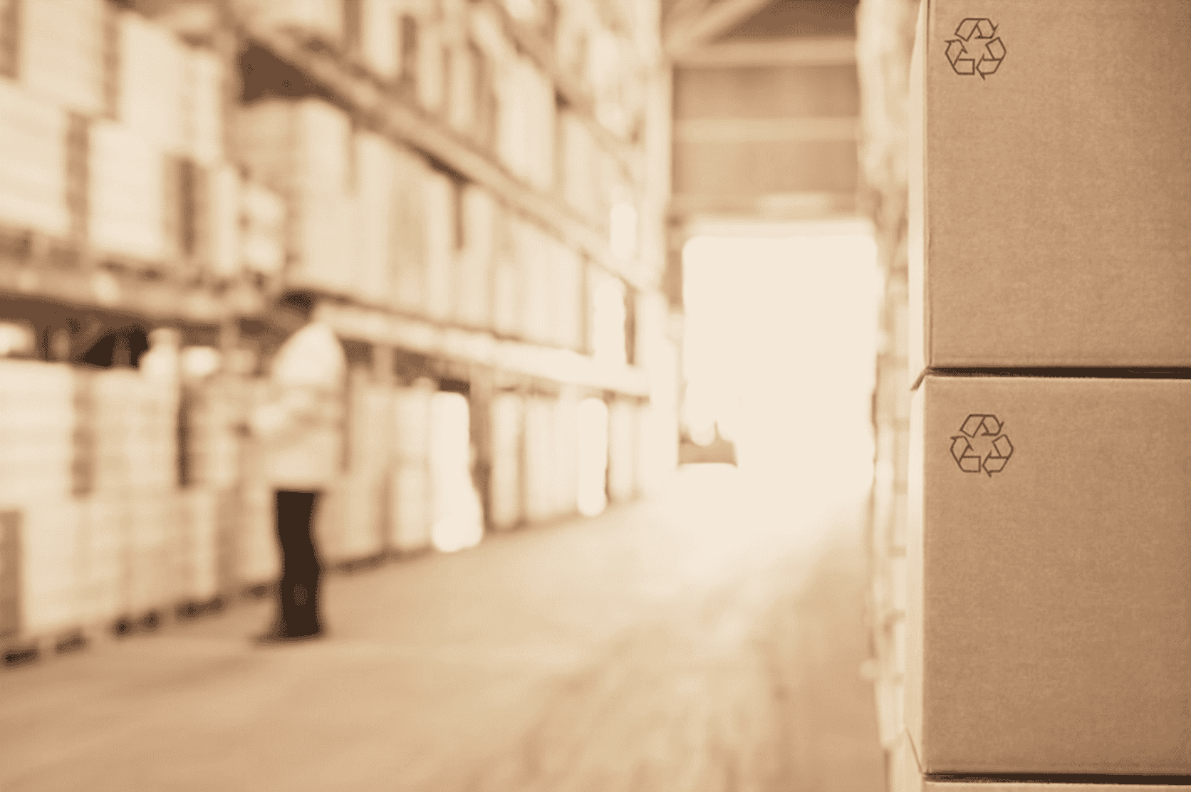 P&T Science | Verpackungen im Kontext globaler Umweltfakten: Warum Nachhaltigkeit mehr ist als nur Trend & Design