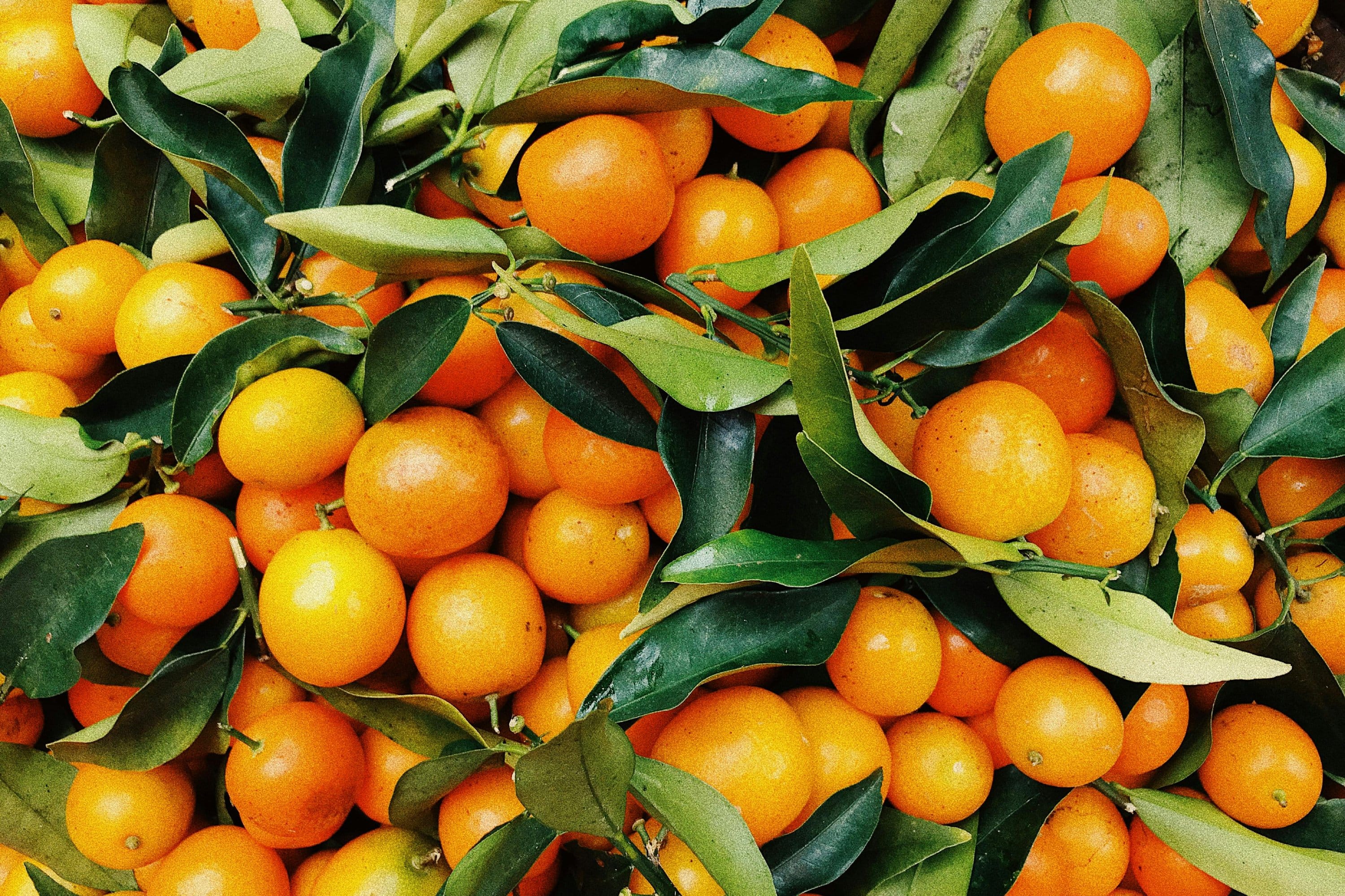 Orangen mit grünen Blättern