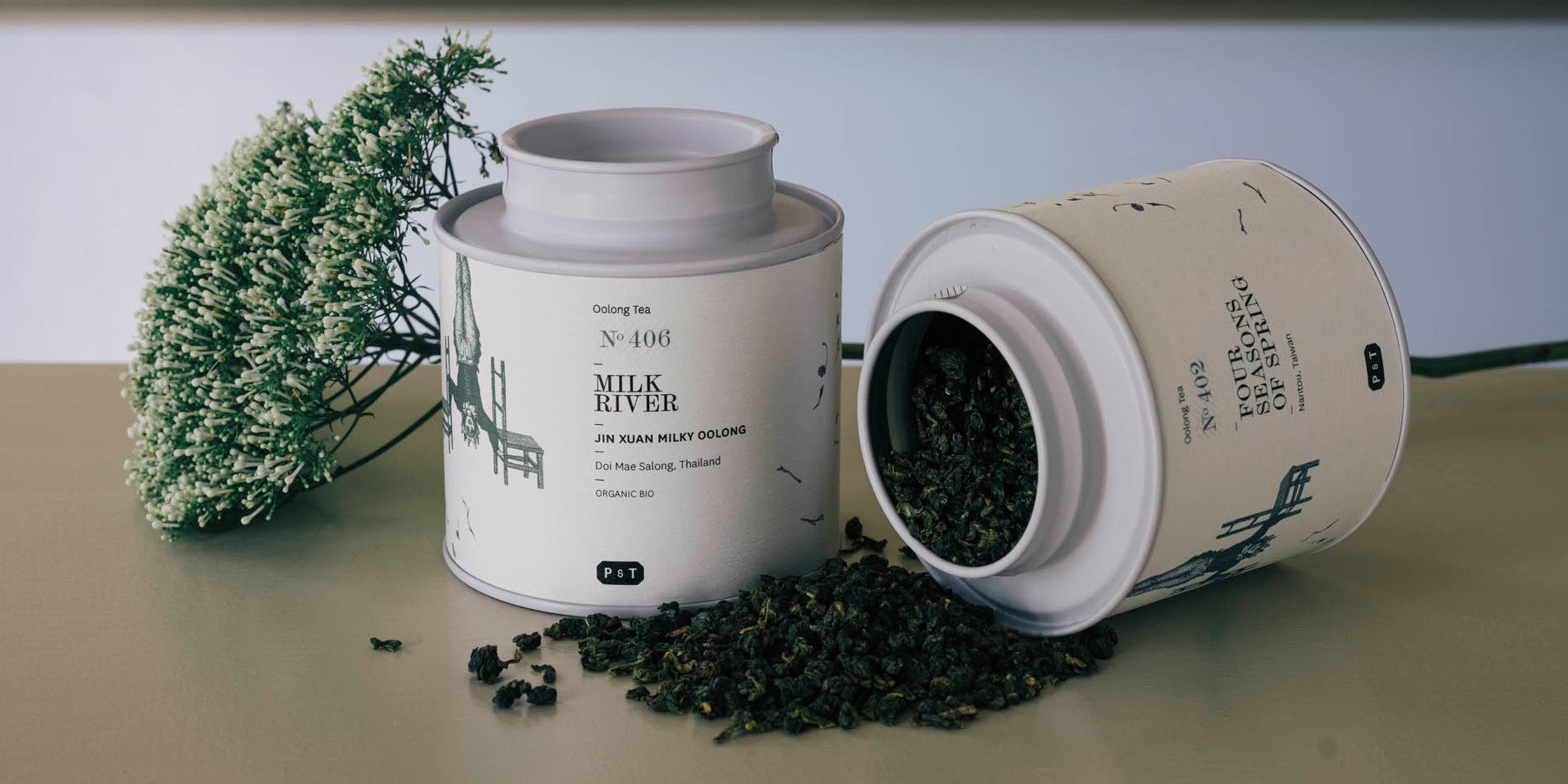 Oolong Tea