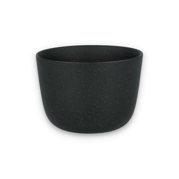 Chanoki Cup