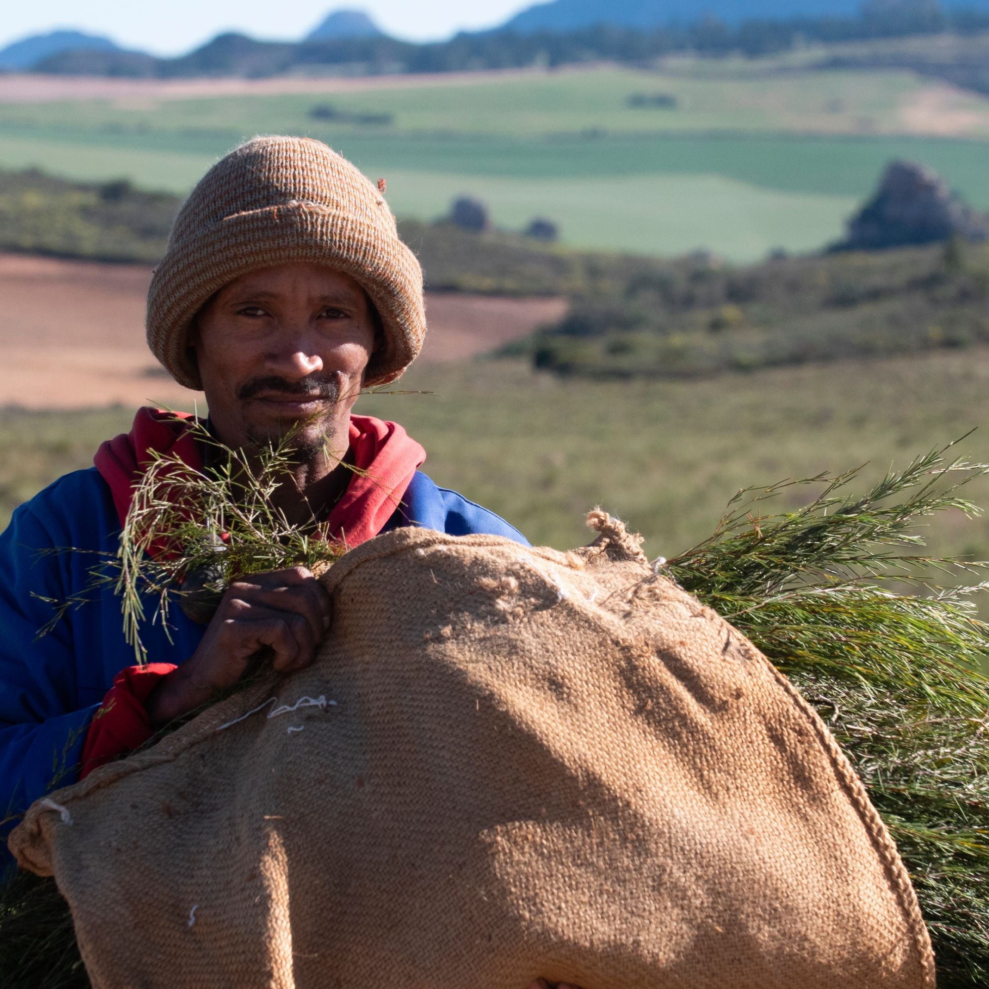 Mann mit brauner Strickmütze trägt frisches Grün in hügeliger Landschaft