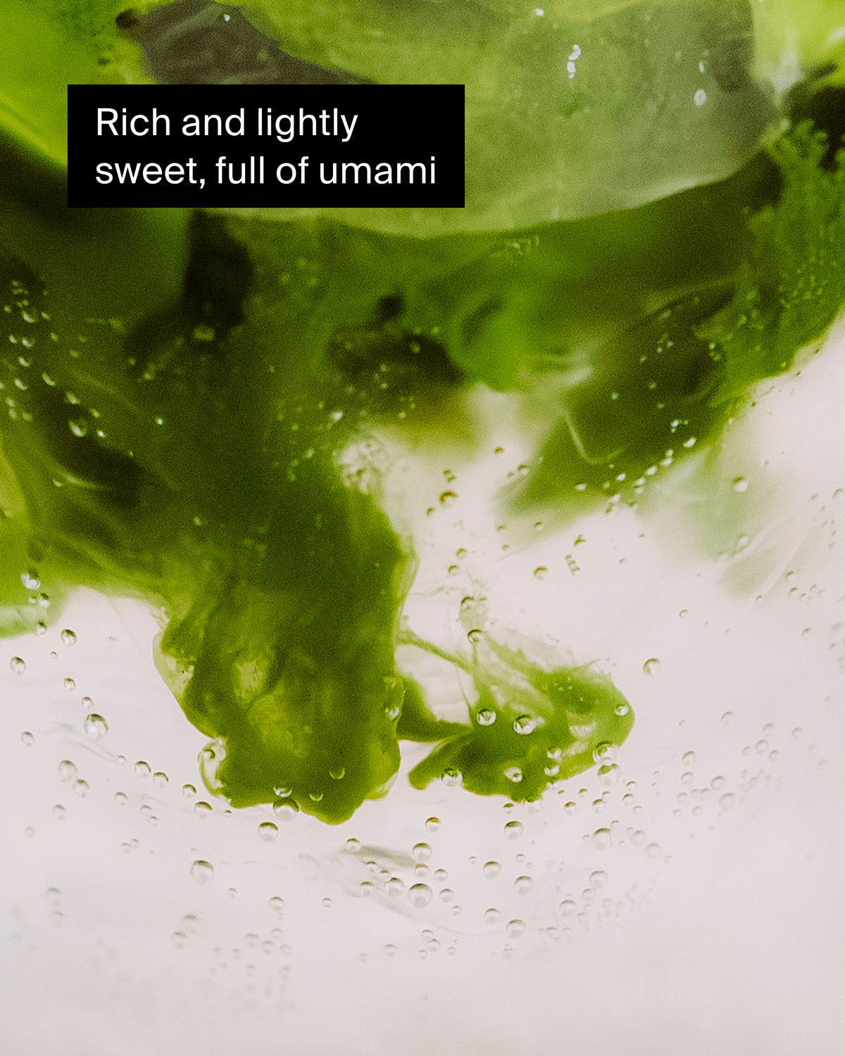 Vibrante grüne Teeblätter im Wasser mit feinen Bläschen, umami-reiches Geschmackserlebnis.